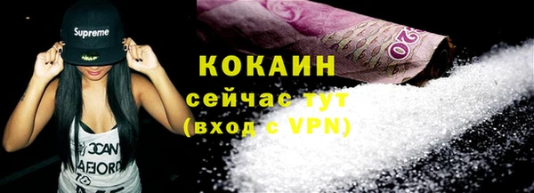 хмурый Магас