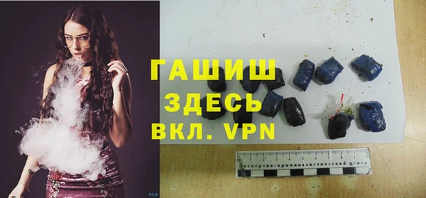 хмурый Магас