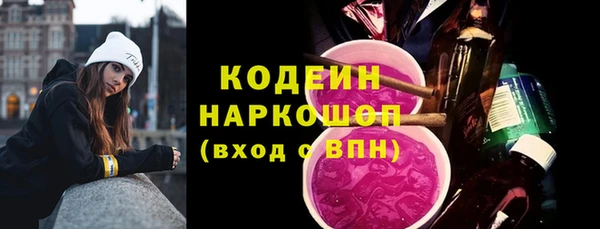 хмурый Магас