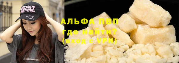 хмурый Магас
