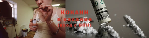 хмурый Магас
