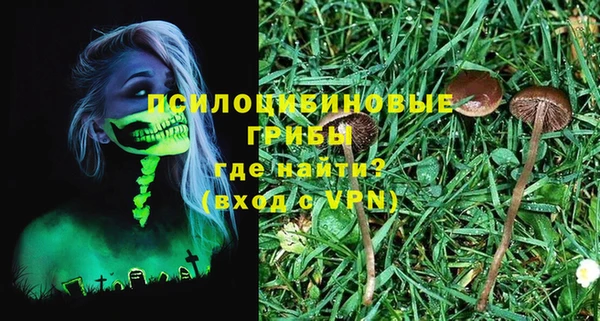 хмурый Магас