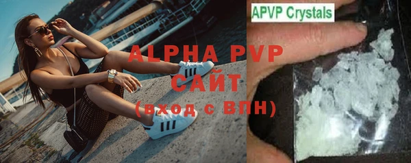 хмурый Магас