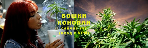 хмурый Магас