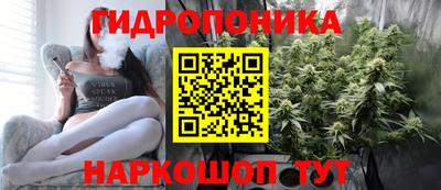a pvp Заводоуковск