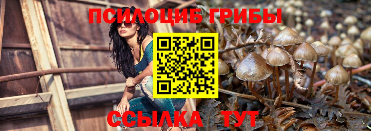 Галлюциногенные грибы GOLDEN TEACHER  Галлюциногенные грибы Psilocybine cubensis  Шали 