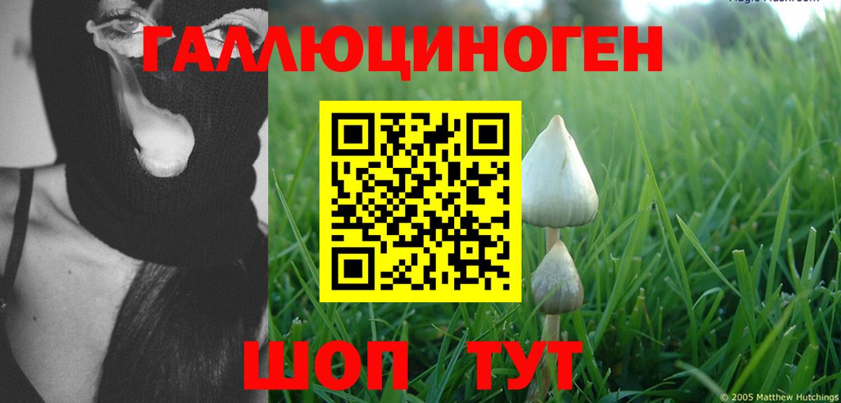 Галлюциногенные грибы мухоморы  дарнет шоп  Вход с VPN  Шали  Псилоцибиновые грибы ЛСД 