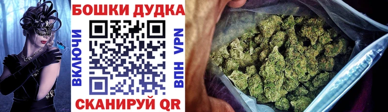 Бошки Шишки семена  Шали 